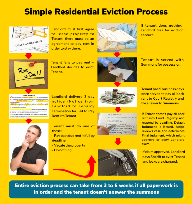 IMAGE Simple Residential Eviction Process Infographic